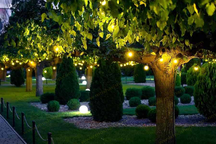 نورپردازی فضای سبز با کمک چراغ حیاطی