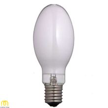 لامپ 125 وات بخار جیوه با حباب بیضوی و پایه E27 | فروشگاه مشاری	